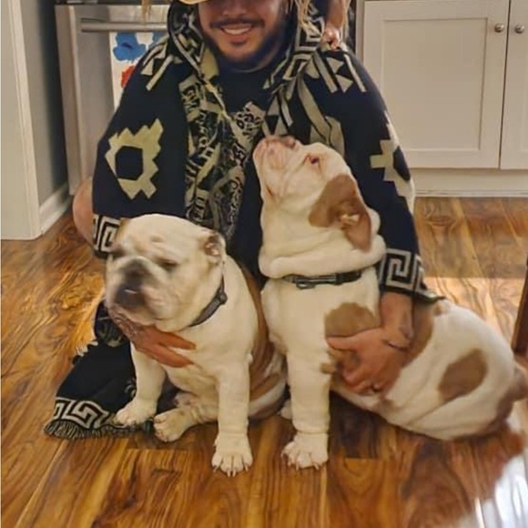 Meet your Posher, Oscar - Picture 13 of 16